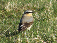 Weetslade Country Park